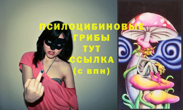 гидра Верхнеуральск