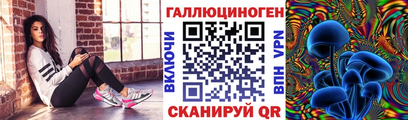 кракен ТОР  купить наркоту  Энгельс  Галлюциногенные грибы Cubensis 